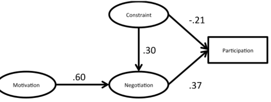 図  8  Hubbard and Mannell（2001）研究結果 