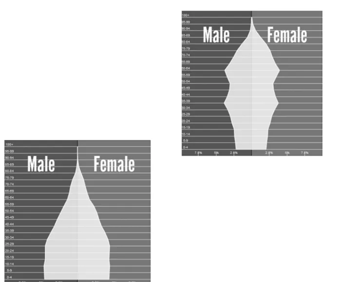 Figure 2.3. Turkey’s Population pyramid (left) compared with Japan’s Population Pyramid (right), 2010