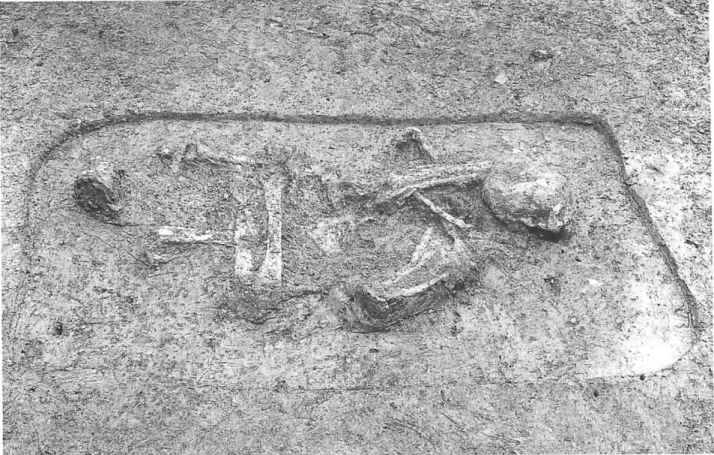 図 １ ２ ２ 号 人 骨 出 土 状 態 西 か ら とは確かである。しかし脊柱に関しては、上半身をひね って、顔が西を向くような体勢で並んでいる。右腕は外 側部を上に向けて肘を折り曲げ、前腕が頭部の方に向か っている。左腕は上腕骨の前部を下に向け、肘を折り曲 げ、前腕骨は頭部の方に向く。 ＜総括＞ 右の下肢骨で見る限り、屈葬の状態で埋葬されたのは 間違いない。骨盤はともかく、上肢と．ド肢は横臥の状態 となっている｡ 右膝の部分、および両手付の状態から判 断して、結縛などの方法で強く固定して埋葬された可能