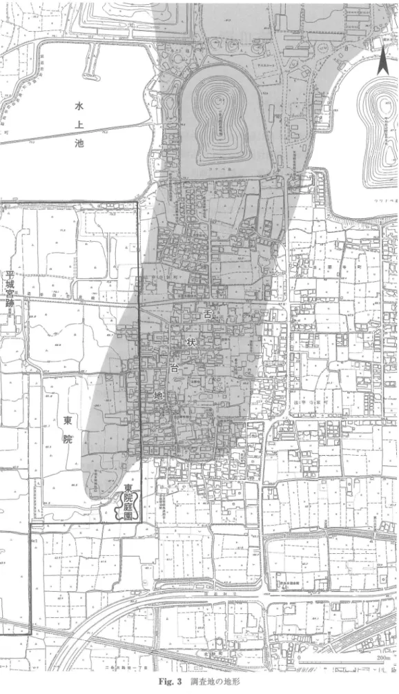 Fig。 3  調査 地の地形