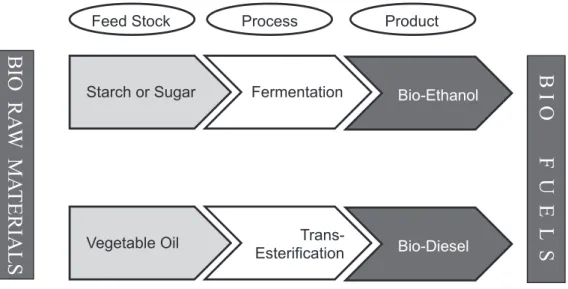 Figure 3:  Biofuel current pathways in India