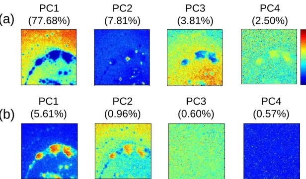 Fig. 3.4. PCA scores [64]. (a) Mean-centering, (b) auto scaling. 