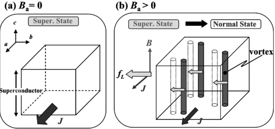 図 5  磁場に対する REBCO 超伝導体の状態