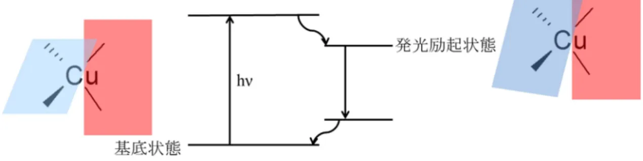 Fig. 1-2-1. Structure of copper(I) complex of the ground state and the emission exited state