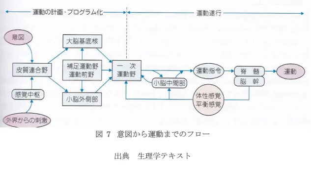 図 7 意図から運動までのフロー  出典  生理学テキスト 
