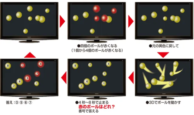 図 2.1: ニューロトラッカー概要 3
