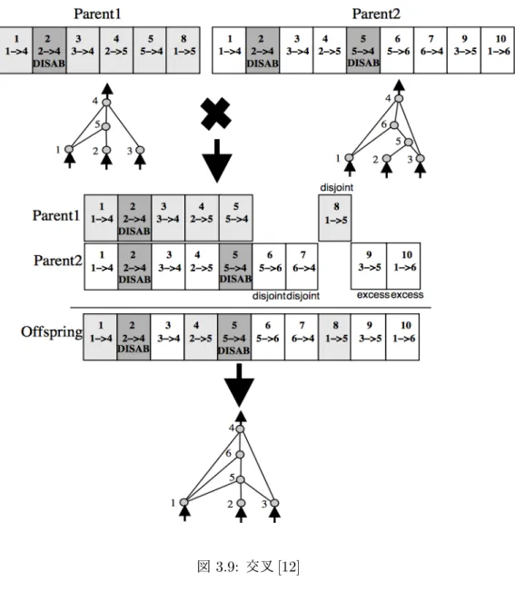 図 3.9: 交叉 [12]