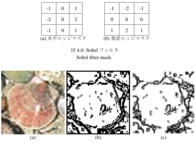 図 4.7: ホタテガイ領域における形状情報の抽出の流れ．
