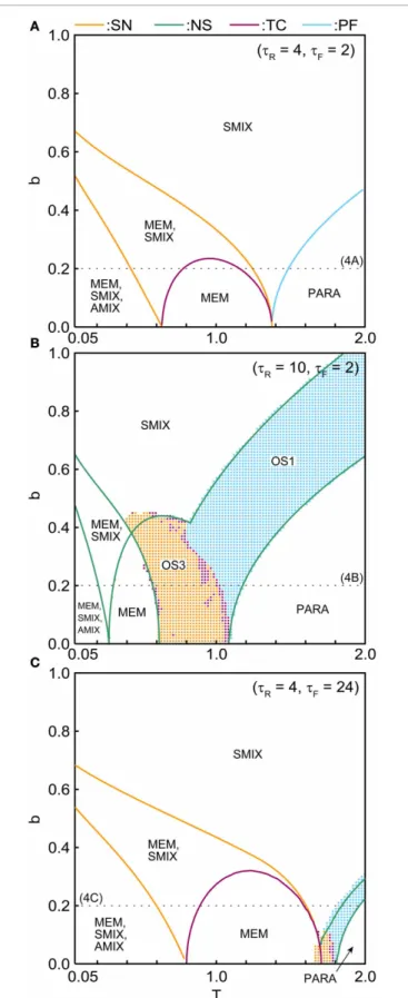FIGURE 7 | (b, T) phase diagrams in (A) the pseudo-constant, (B) depression-dominant, and (C) facilitation-dominant ranges