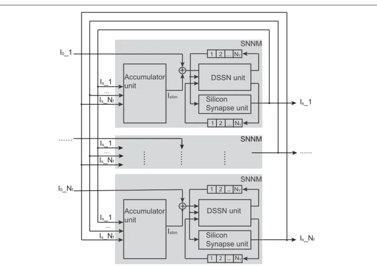 FIGURE 4 | Structure of our silicon neuronal network.The network includes multiple (N f ) silicon neuronal network modules (SNNMs)