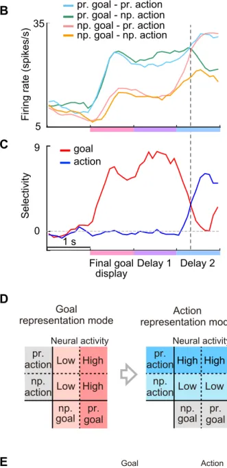 Figure 1. Goal-oriented action-planning task and neuronal responses in prefrontal cortex (PFC)