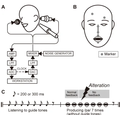 Fig. 2.1. Experimental equipment and protocol. 