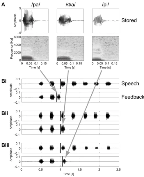 Fig. 2.2. Examples of acoustic signals. 