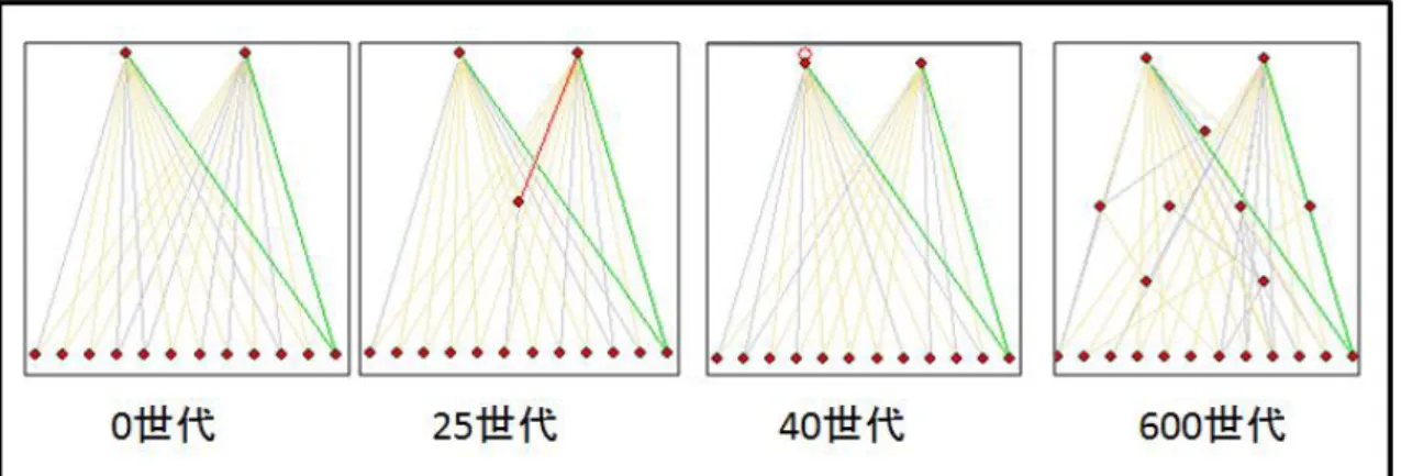 図 2.1 NEAT 手法における ANN の進化例 2.3  Evolutionary Robotics  Evolutionary Robotics[7] の分野では、実機ロボットの制御を人工ニューラル ネットワークによって行い、そのニューラルネットワークに対して遺伝的アル ゴリズム [6] を適用させることで進化させている。即ち、ロボットのセンサ情報 をニューラルネットワークへの入力とし、ニューラルネットワークの出力値を ロボットのモータの動作量とすることでロボットの制御を行い、制御の結果を 評価し、