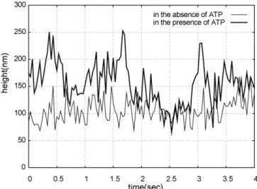 Fig. 6. 2D and 3D trajectories of two spotted markers, red and blue, attached to an actin ﬁlament sliding on HMMs (0.045 mg/ml) ﬁxed on the glass surface in the presence of 0.05 mM ATP