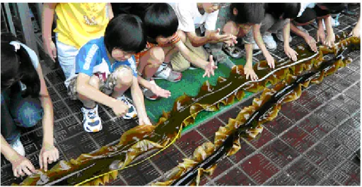 図 3.23: 港区立青南小学校 2 年生らの「昆布学習」の様子
