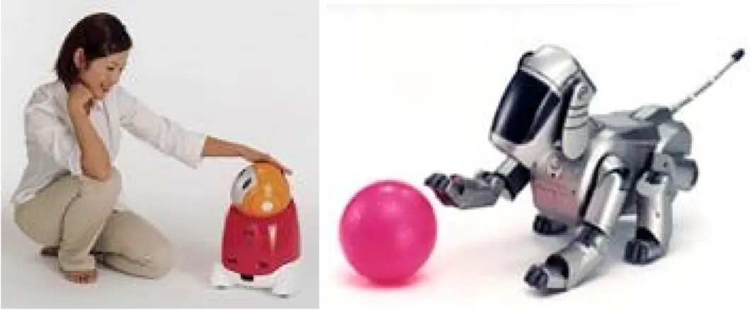 図 2.4: 左 :NEC PaPeRo ，右 :Sony Aibo れると考えている． 2.2 インタラクションデザイン 20 世紀後半，情報機器の発達に伴って様々な製品が世に現れた．これらの製品の多く は小型コンピュータを内蔵し，このため小さな製品の中に非常に多くの機能を詰め込むこ とが可能となった．この代表的な存在が 1990 年代後半に普及を始めた携帯電話であろう． 我々は様々な場面で様々な機械とのインタラクションを行うことをごく自然で日常的な現 象としてとらえることになった． これらの製品とのイン