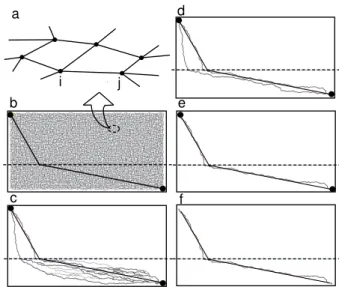 FIG. 4: Simulation of path formation. (a) Schematic illus- illus-tration of the mathematical model