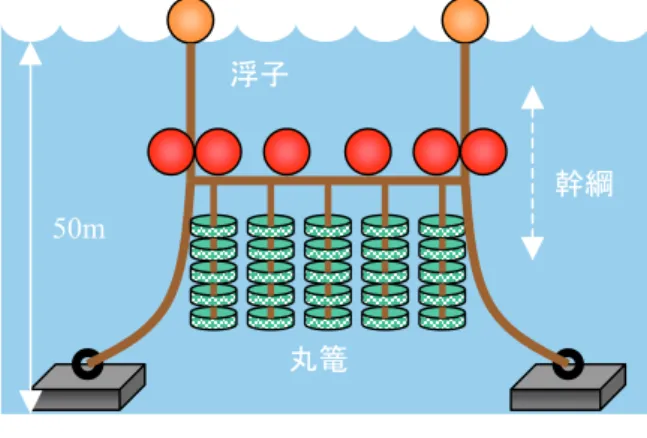 図 1  代表的なホタテ養殖施設  2.  小型海洋観測ブイの開発  2.1  小型海洋観測ブイの優位性  従来の海洋観測ブイは高価，かつ，大型である ことから主に漁業協同組合などの組織単位で導 入されてきた．また，同様の理由により特定の海 域に複数の海洋観測ブイが設置されることはな く，点の情報となっていることから特定の海域の 水温分布を立体的に把握することは難しい．その ため，ホタテ養殖海域への冷水塊の流入を早期に 正確に把握するためには，多点，多層の情報が必 要となる．  そこで，漁業者が個人単位で導