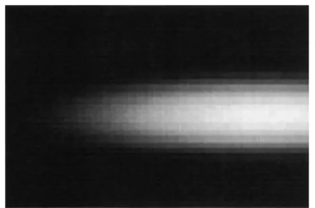 Fig. 3 Synthetic image used in our experiment.