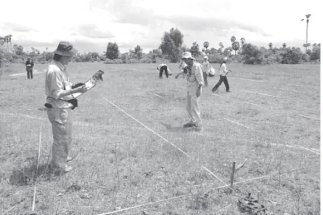 Fig. 1　Survey is being conducted. 