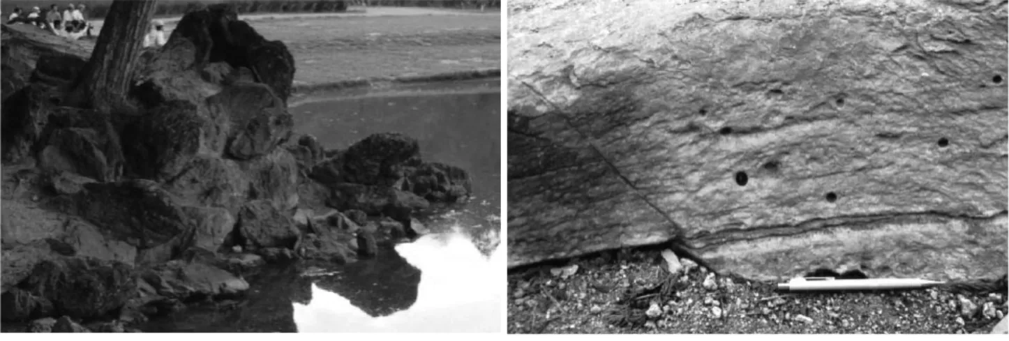 Fig. 1   An artificial hill modeled              on a rough seashore landscape