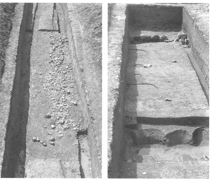 図 ６ ０ 塔 南 面 の バ ラ ス 敷 北 か ら までの7 8 ｍで約4 0 ｃｍ低くなる) 、基聴の版築を行う一帯 をより平坦にするためである。ただし、このような金堂 基頃における掘込地業との差は、金堂と塔の建設の微妙 な時期差を示す可能性がある。 ４工程をたどる基壇構築基壇西辺での断ち割り調在に よって、基耽版築屑は大きくＡ、Ｂ，Ｃ、Ｄの４ブロック にまとめられ、Ａ→B →C →Ｄの順序に職んだと復原でき る（図57) 。 Ａブロックは基域縁辺部寄りでは傾斜して版築し、基 壇中央部寄りではほぼ水平