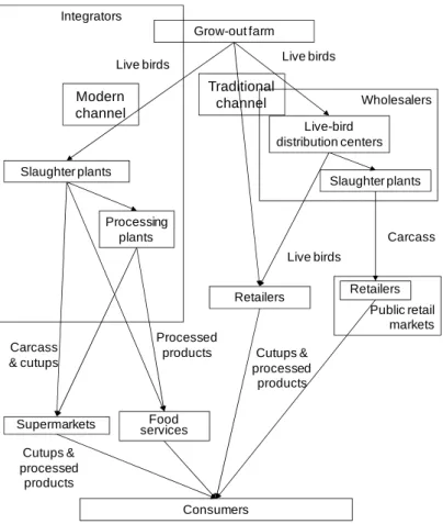 Figure 4: Distribution channels of broiler meat in Peru