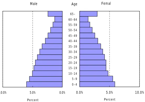 Figure  １-3. Demographic Pyramid of Myanmar in 2002 (52.2 Million Persons)  Source: Central Statistical Organization, Myanmar [2002]