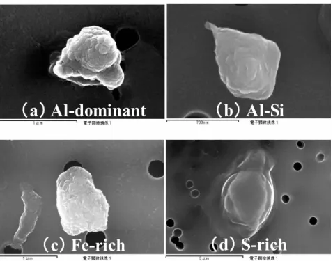Fig. 2 Image of particles in the Indian Ocean 