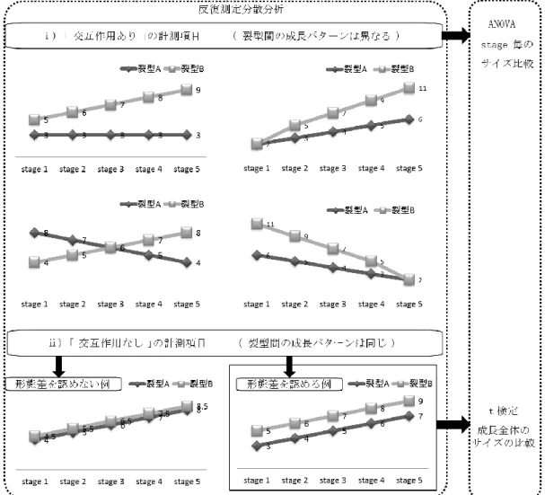 図 5  統計解析の流れ 