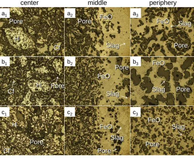 Fig. 2-11.  Microstructures of partially pre-reduced samples at 1100°C (Cf particle size: 45-75 