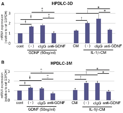 Figure 8. HPDLC 由来の GDNF が PC12 の Gap-43 の発現に及ぼす影響 
