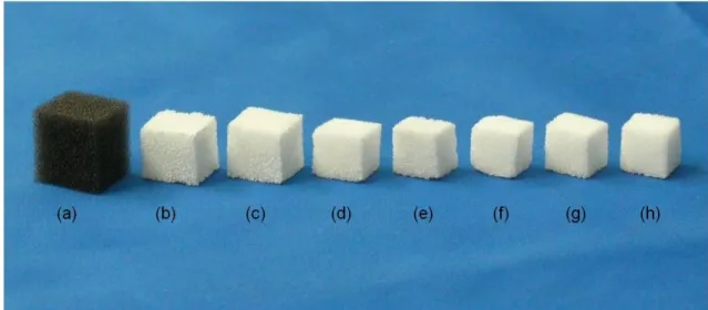 Figure 2-1 Typical macroscopic structure of (b) TCP(0) foam, (c) TCP(1)  foam,  (d)  TCP(2)  foam,  (e)  TCP(3)  foam,  (f)  TCP(4)  foam,  (g)  TCP(6)  foam  and  (h)  TCP(8)  foam  obtained  after  sintering  at  1,500ºC