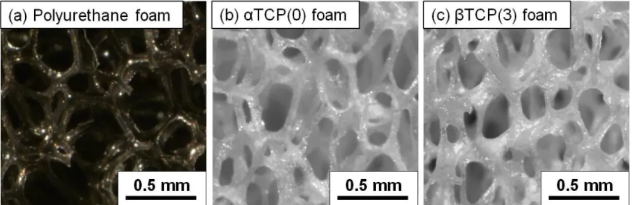 Figure  2-5  summarizes  the  linear  shrinkage  of  the  TCP  foams  containing  different  amount  of  Mg