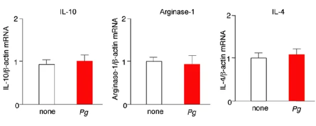 Figure  9.  Effects  of  P.  gingivalis  infection  on  the  expression  of  anti-inflammatory  mediators  in  microglia