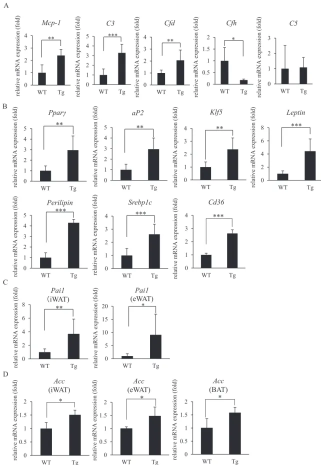Fig. 4. Effects of Cfb expression on gene expression associated with inﬂammation, complement system and adipocyte differentiation in iWAT of Cfb Tg mice