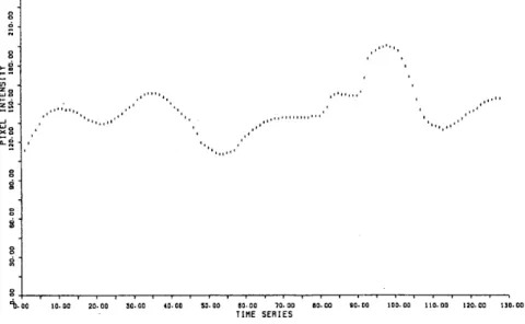 Figure  2:  The  time  series  data  of  the  brightness  at  an  arbitrary  chosen  pixel  in  Figure  ld
