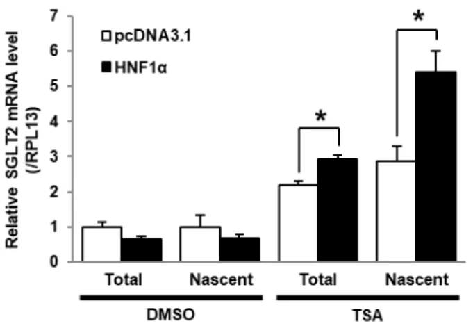 Fig. 9 Quantitative analysis of effects of the TSA treatment on SGLT2 mRNA levels in HNF1α-expressing HK-2  cells 