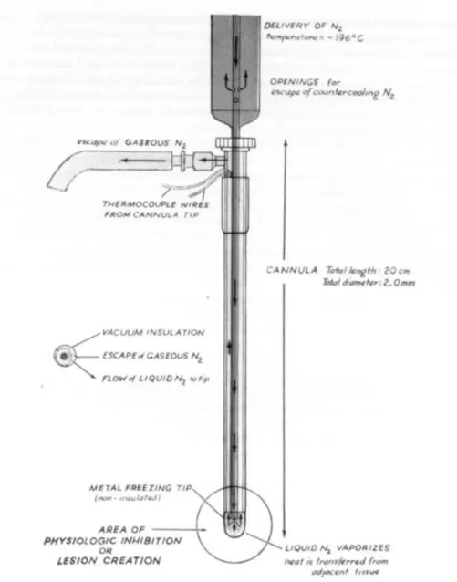 Figure 0.1 Schematic of the internal structure of the first cryoprobe designed by Cooper [11]