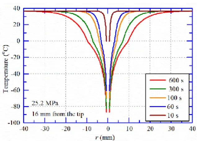 Figure 0.11 The radial temperature distribution obtained by simulation at different time points