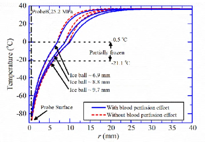 Figure 0.23 Comparison of the radial temperature distribution with and without blood perfusion