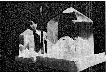 Fig.  1  Giant  KDP  crystals  cult.ivated  by  the  author 