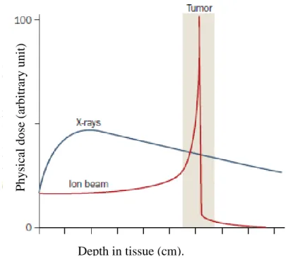 Fig. 1.2 Comparison of the depth-dose relationships for x-rays and charged particles. 5Depth in tissue (cm)