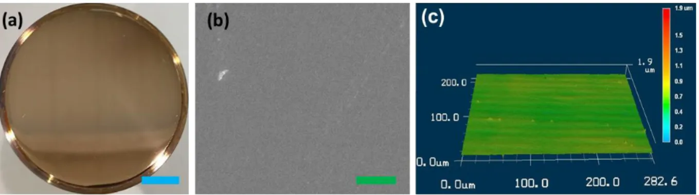 Figure 2.1 The mirror-finished copper surface: (a) photo, (b) SEM image, and (c) 3-D profile