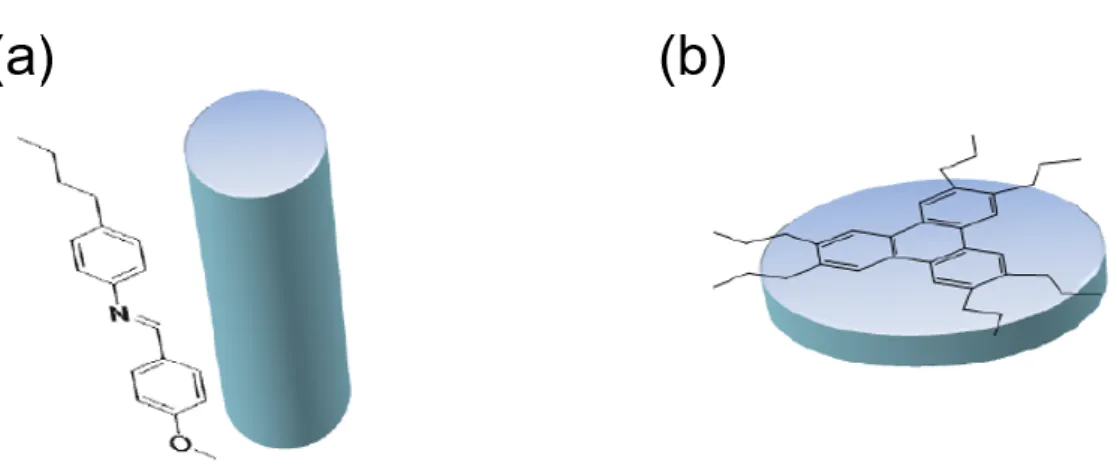 Fig. 2-2 Schematic illustration of rod- and disk-like mesogens: (a) calamitics and (b)  discotics