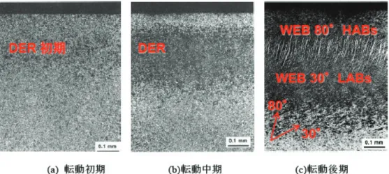 Fig. 1-5  転動中の組織変化の過程  出典：文献[30]より転載 