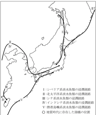 図 2-9  日本列島への淡水魚類の浸潤経路の想定図 Ⅰ ⅡⅡⅢⅣⅣⅤⅠ:シベリア系淡水魚類の浸潤経路Ⅱ:北太平洋系淡水魚類の浸潤経路Ⅲ:シナ系淡水魚類の浸潤経路Ⅳ:インドシナ系淡水魚類の浸潤経路Ⅴ:熱帯島嶼系淡水魚類の浸潤経路地質時代に存在した陸橋の位置 北西部 1