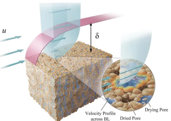 Figure 4.15 Coupling between evaporative surface and ambient air with velocity u, the  boundary layer (BL) has a thickness of δ (after Shahraeeni et al., 2012) 