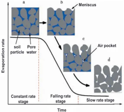 Figure 2.1 Relationship of soil evaporation rate versus time with showing there stages  of drying and soil water status 